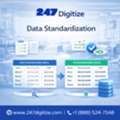 Data Standardization Services For Organized Records