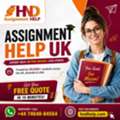 Assignment Help UK: The Honest Student's Guide To Essay, Dissertation & HND Help