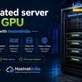 Dedicated Server With GPU - Purchase With Hostnetindia