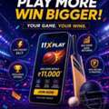 Reliable Gaming Functionality On 11xPlay App