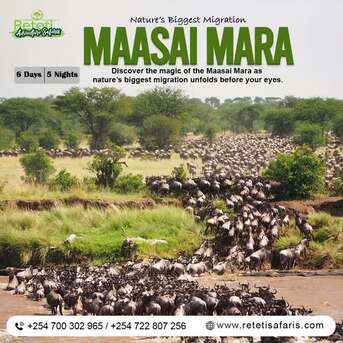 Nairobi, Travel, Best Tanzania Safari Packages From India &ndash; Kenya Tanzania Tour Deals