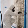 Gainesville Mold Remediation