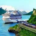 Plan Your Alaska Wildlife Cruise Call Our Experts Now