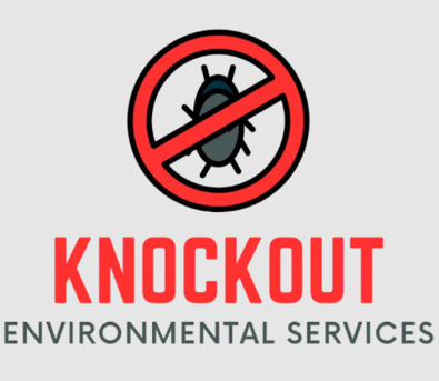 London, Business, KnockOut Environmental Services Tooting