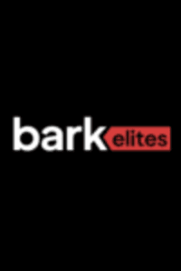 New York, Marketing, Affordable Social Media Marketing Services | Bark Elites