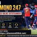 Why Diamond Exchange Is Trending Among IPL Fans