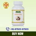 Buy Jeena Sikho Sanjeevani Capsules &ndash; Herbal Support For Migraine Wellness