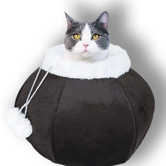 New York, Pet Supplies, Your Pet Is Counting On You, And We Have Everything They Need