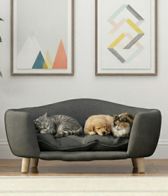 New York, Pet Supplies, Your Pet Is Counting On You, And We Have Everything They Need