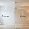 Best Ceiling Fan Direction For Summer And Winter Comfort