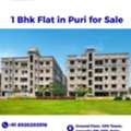 1 Bhk Flat In Puri For Sale