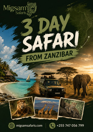 Dar es Salaam, Travel, 3 Day Zanzibar Safari Adventure To Serengeti Ngorongoro And Tarangire