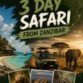 3 Day Zanzibar Safari Adventure To Serengeti Ngorongoro And Tarangire