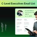 Are You Looking For C-Level Executives Email List?