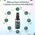 Best CBD Oil Brand India | Cannarma Hemp Pain Relief Massage Oil
