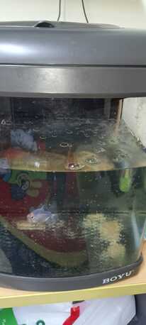 Khobar, Household Items, SAR 250,  Fish Aquarium For Sale
