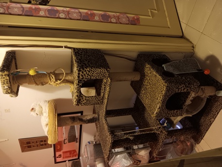 Jeddah, Household Items, SAR 9,  Moving Sale