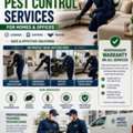 Professional Pest Control Services In Jeddah