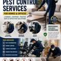 Professional Pest Control Services In Jeddah Safe &bull; Reliable