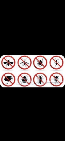 Al Mahdiyah, Pest Control, =PROFESSIONAL PAKISTANI ALL TYPES PEST CONTROL SOLUTION WITH GUARANTEED 6MONTHS@