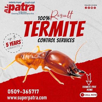 Jeddah, Pest Control, Pests Everywhere? Patra Has The Solution! 🛡️