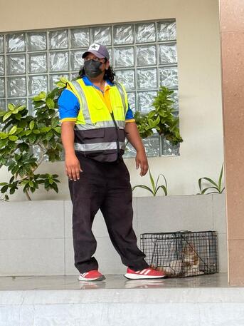 Jeddah, Pest Control, Pests Everywhere? Patra Has The Solution! 🛡️
