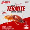 Termite Control Service