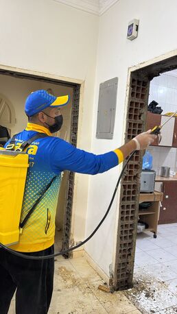Jeddah, Pest Control, Termite Control Service