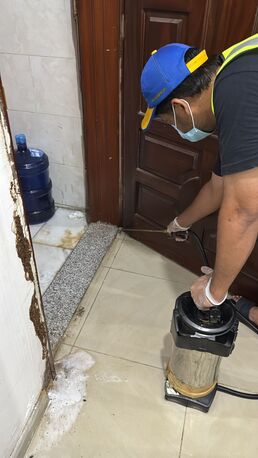 Jeddah, Pest Control, Termite Control Service