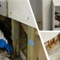 Want Safe And Effective Mould Cleaning Service Today?