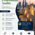 Professional Audits Service