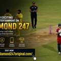 Why Diamond 247 Is Gaining Popularity