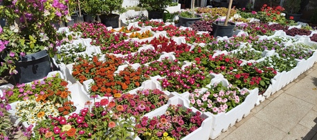 Riyadh, Business, Landscaping