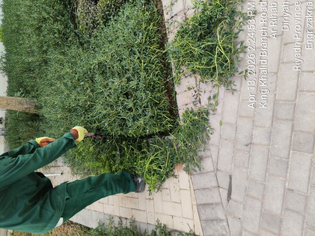 Riyadh, Business, Landscaping