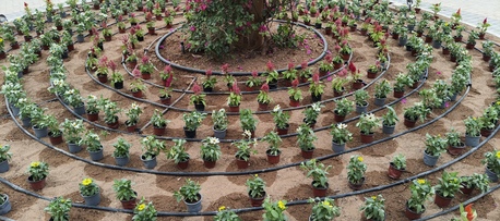 Riyadh, Business, Landscaping