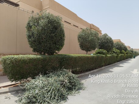 Riyadh, Business, Landscaping