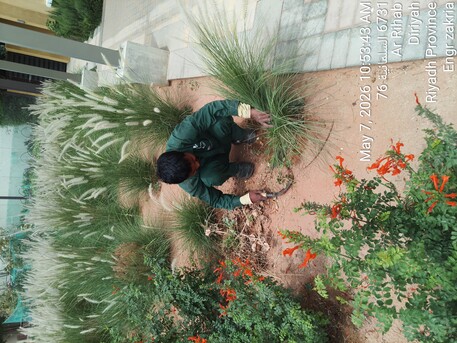 Riyadh, Business, Landscaping