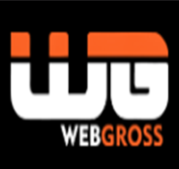 New Delhi, Marketing, Digital Marketing Company In Delhi | Webgross