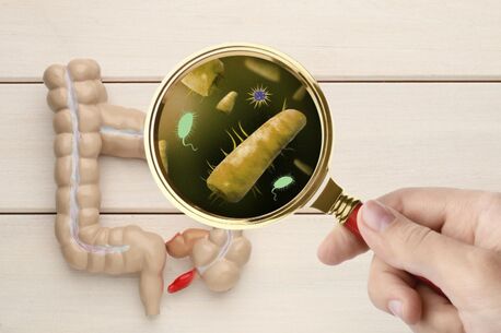 Madurai, Health, Irritable Bowel Syndrome Ayurveda Treatment In Madurai