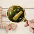 Irritable Bowel Syndrome Ayurveda Treatment In Madurai