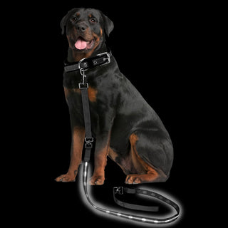 New York, Pet Supplies, Find The Perfect Leash For Your Pup Stylish, Durable, And Built For Every Walk!