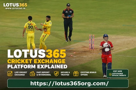 New Delhi, Business, What Is Lotus365 Cricket Exchange Platform?