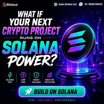 Singapore, Business, What If Your Next Crypto Project Runs On SOLANA Power?