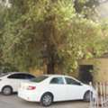 SAR 1500/month,  Furnished,  2 BR,  100 Sq. Meter,  വില്ലയില്&zwj; 1BHK, 2BHK ഫ്ലാറ്റ്കള്&zwj; വാടകയ