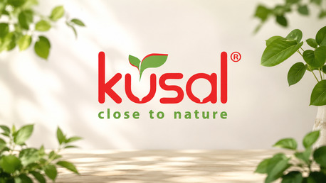 Chennai, Household Items, INR 199,  Premium Artificial Plants In Chennai & Bangalore | Kusal Home Decor