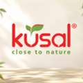 INR 199,  Premium Artificial Plants In Chennai & Bangalore | Kusal Home Decor