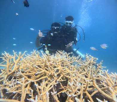 Kolkata, Travel, Scuba Diving In Havelock - To Unwind A Hidden Underwater Paradise
