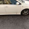 Driver ( Indian)