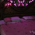 SAR 1,  Free Give Away King Size Bed With Mattress
