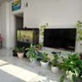 BHD 75/month,  Furnished,  00 Sq. Meter,  Sharing Room